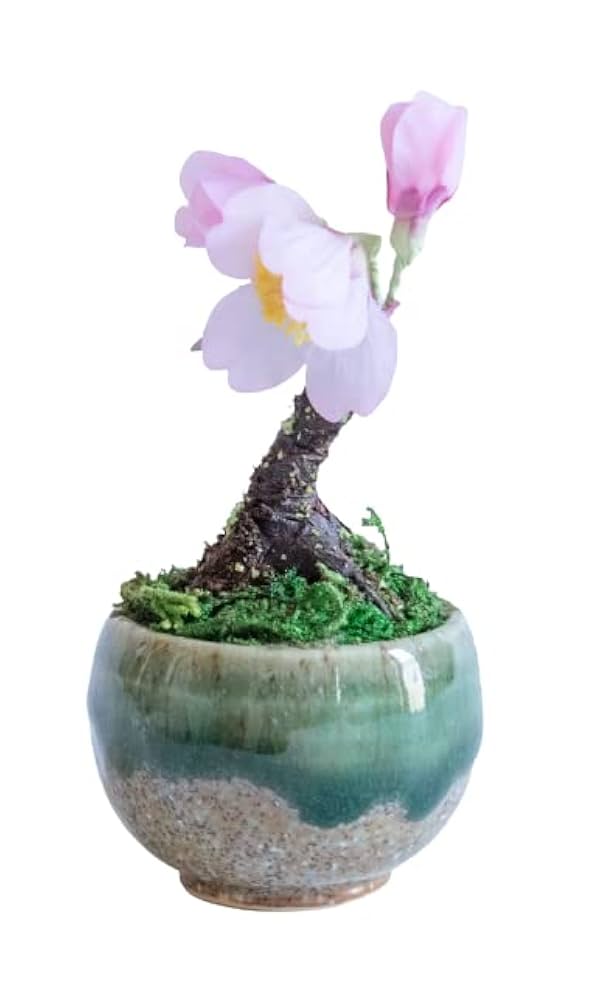 Amazon｜さくら盆栽 中 苔玉 深鉢 桜 盆栽 アートフラワー 造花
